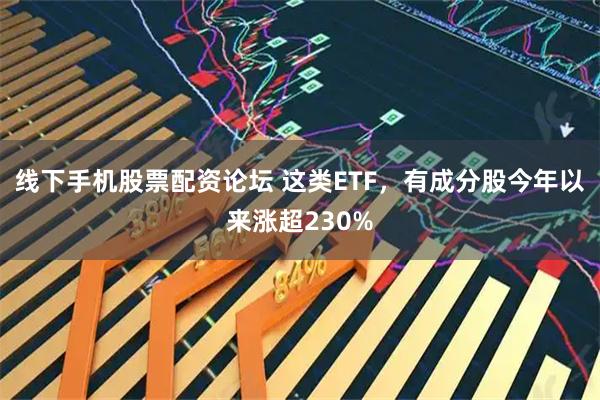 线下手机股票配资论坛 这类ETF，有成分股今年以来涨超230%